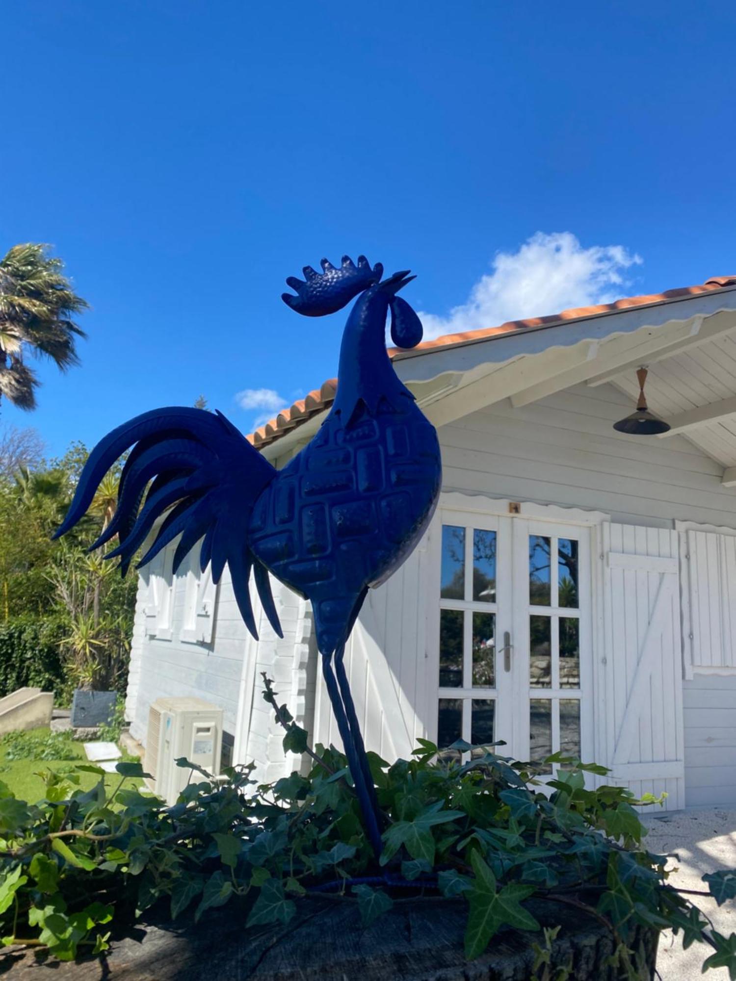 Maison Saint Paul Bnb La Colle-sur-Loup Exteriér fotografie