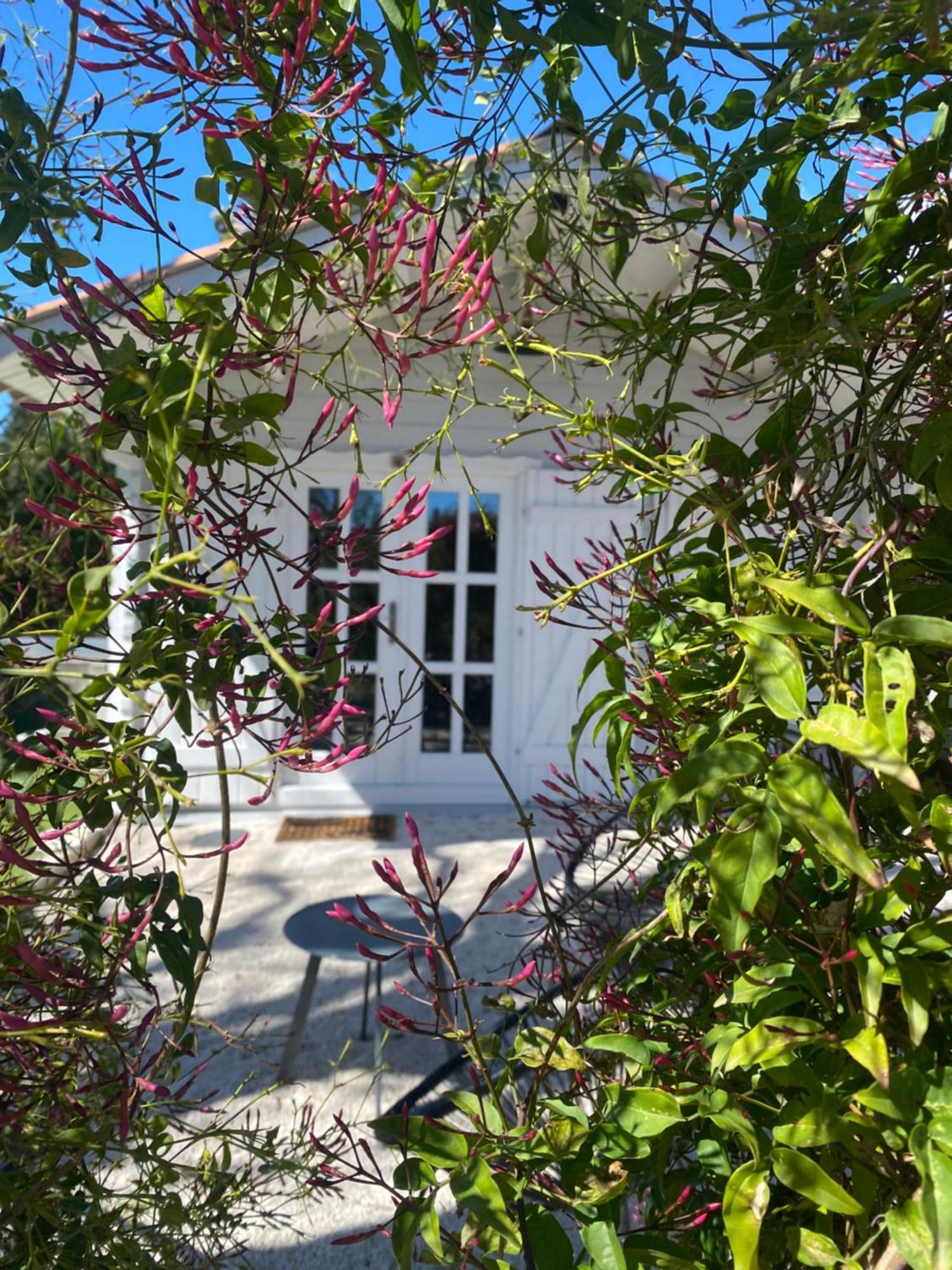Maison Saint Paul Bnb La Colle-sur-Loup Exteriér fotografie